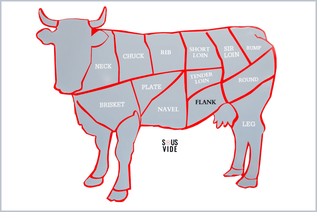 Outline of a steer with various cuts of beef shown. The flank portion is highlighted at the abdomen of the cow.