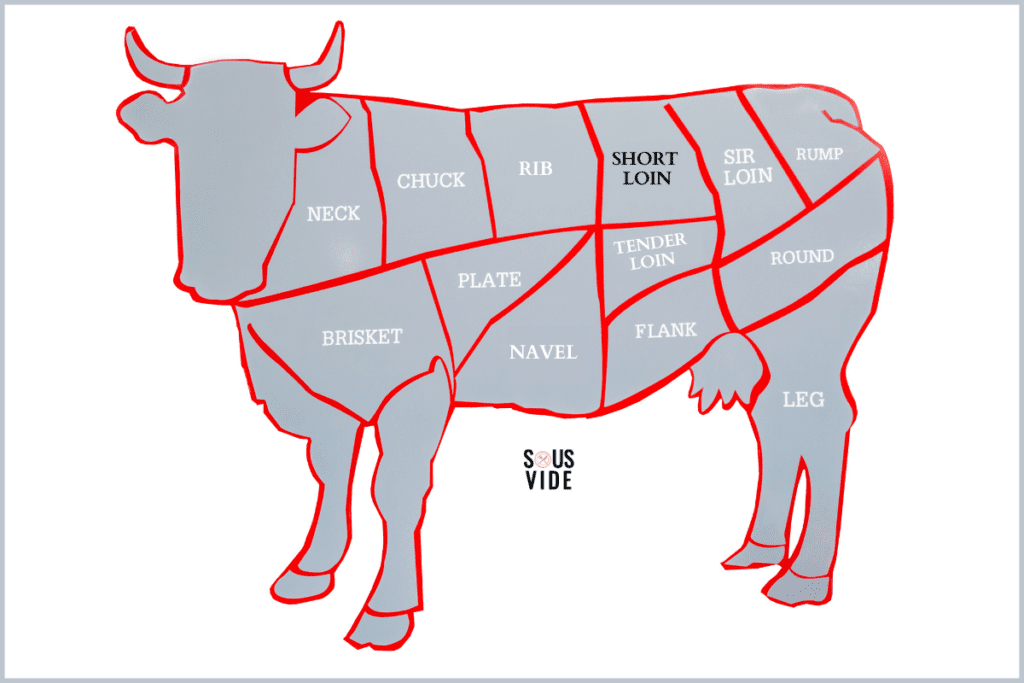 Diagram of a cow with it's various sections from which cuts of meat come from. The short loin, where the Porterhouse and T-bone come from, is highlighted.
