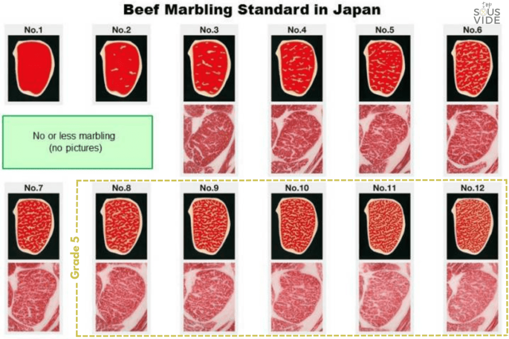 Chart of Beef Marbling Standards in Japan. Illustrations and pictures of cross sections of meat classified from 1-12, 1 being the least fatty and 12 being the most fatty. Highlights classifications 1-12 corresponding with grade 5