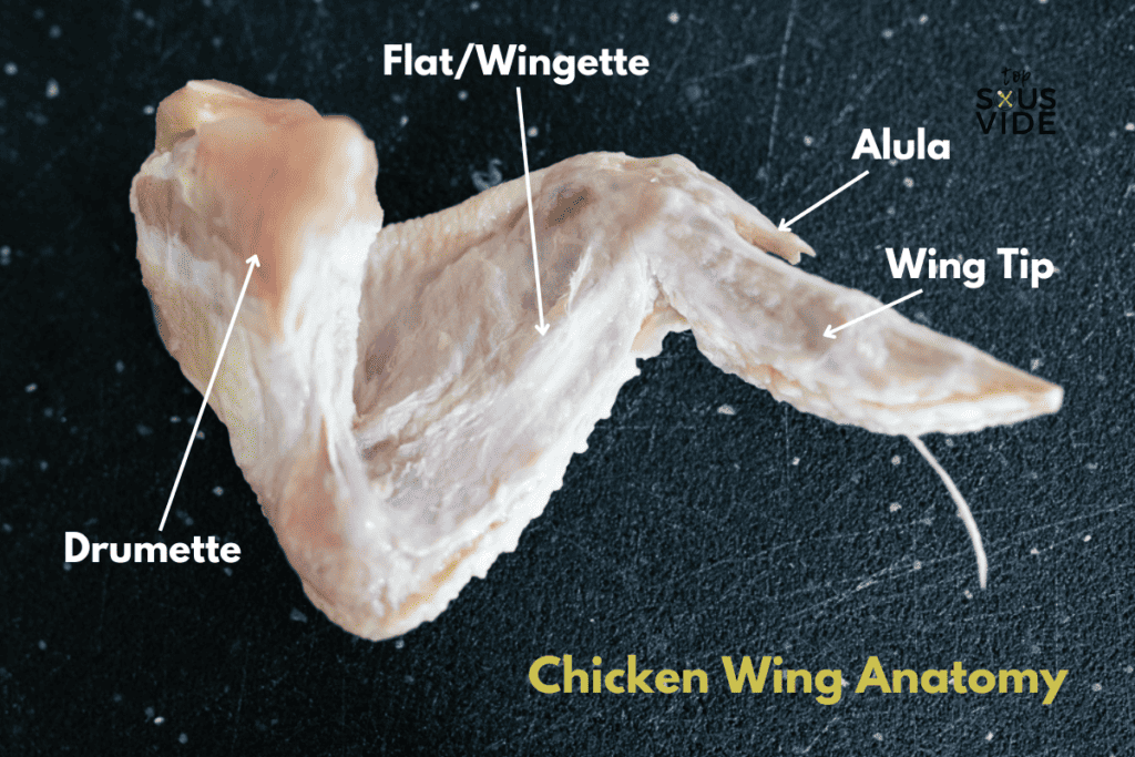 Diagram of a chicken wing showing the parts: drumette, flat, wing tip, and alula.