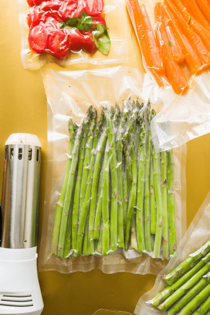 Best Sous Vide Bags Ziplock, Silicone, or Vacuum Top Sous Vide